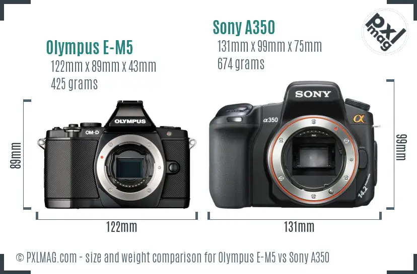 Olympus E-M5 vs Sony A350 size comparison