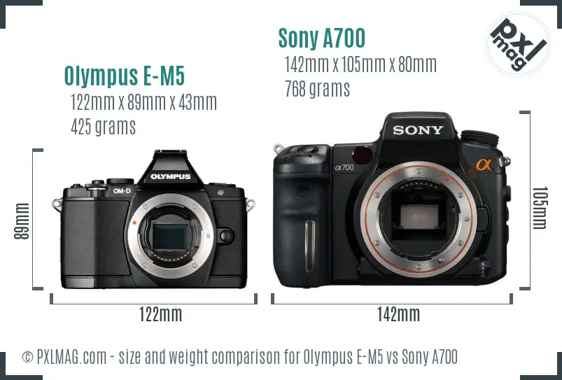 Olympus E-M5 vs Sony A700 size comparison