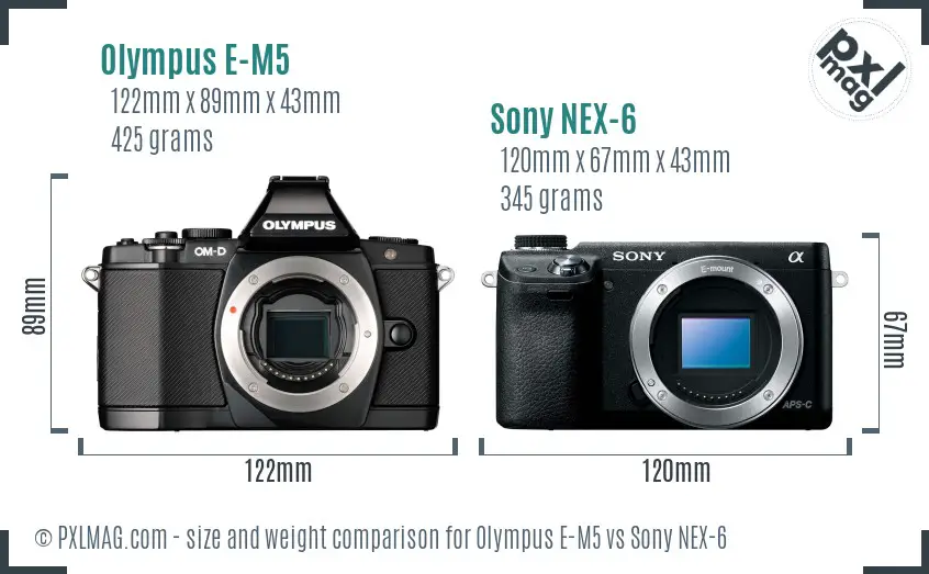 Olympus E-M5 vs Sony NEX-6 size comparison