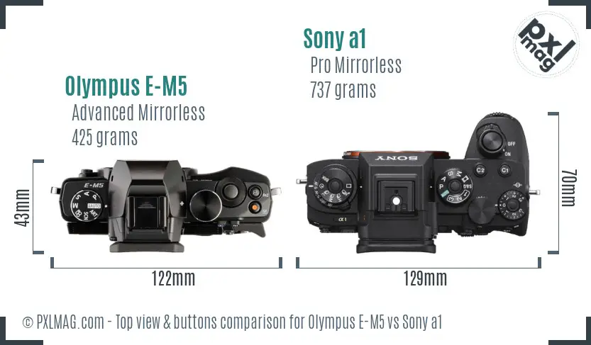 Olympus E-M5 vs Sony a1 top view buttons comparison