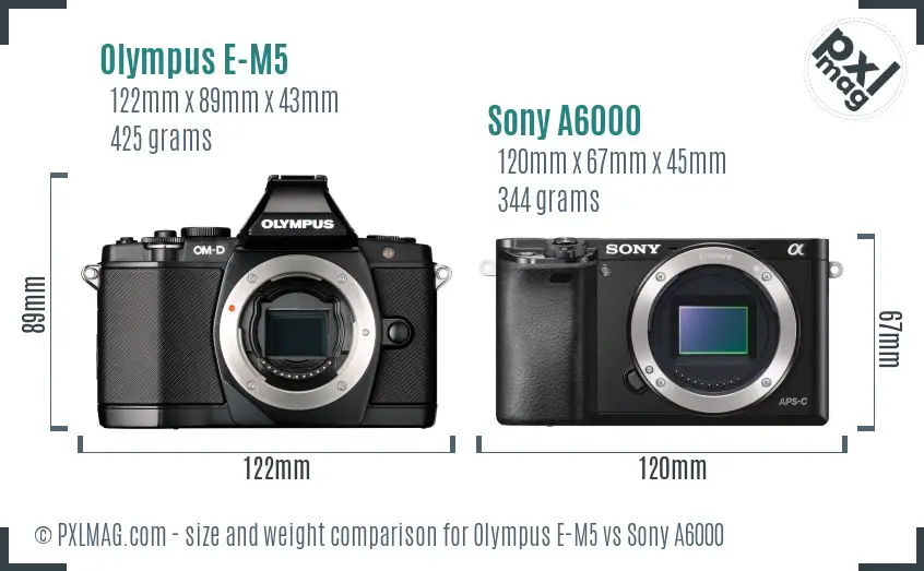 Olympus E-M5 vs Sony A6000 size comparison