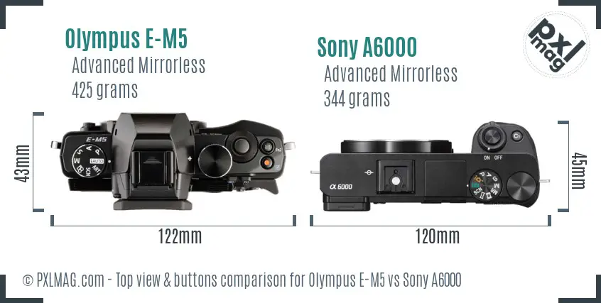 Olympus E-M5 vs Sony A6000 top view buttons comparison