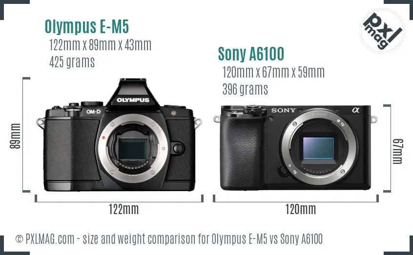 Olympus E-M5 vs Sony A6100 size comparison