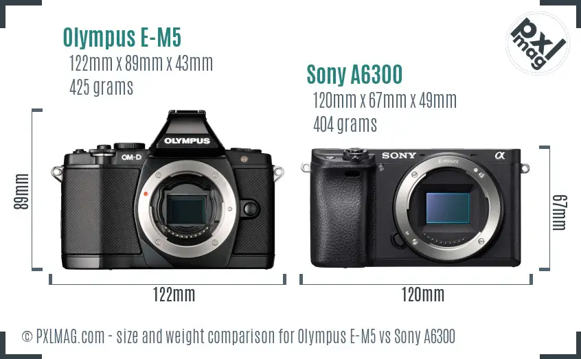 Olympus E-M5 vs Sony A6300 size comparison