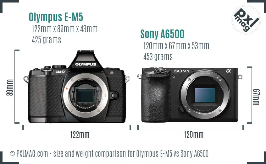Olympus E-M5 vs Sony A6500 size comparison