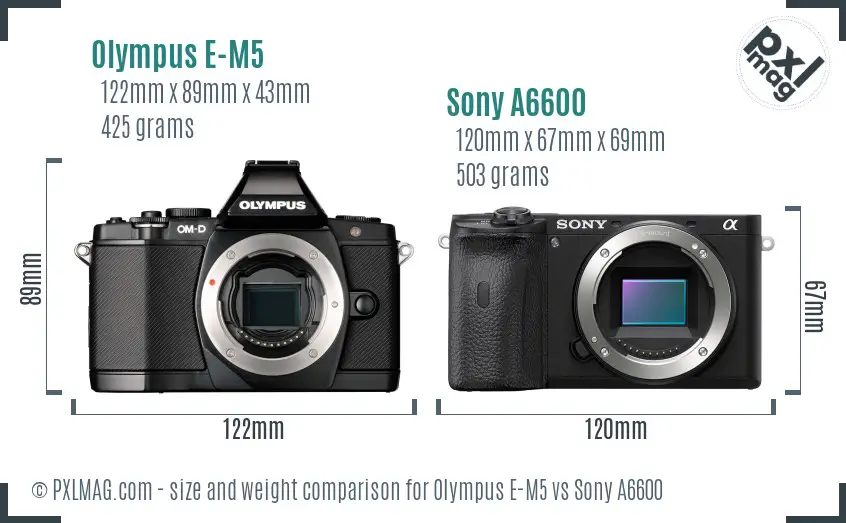 Olympus E-M5 vs Sony A6600 size comparison