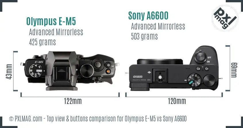 Olympus E-M5 vs Sony A6600 top view buttons comparison