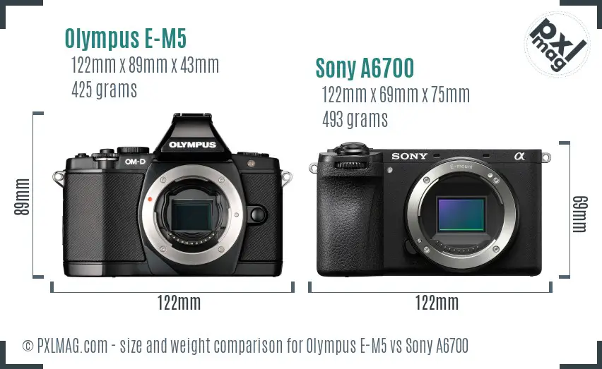 Olympus E-M5 vs Sony A6700 size comparison