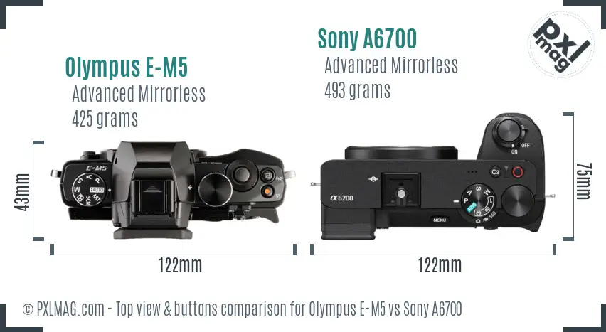 Olympus E-M5 vs Sony A6700 top view buttons comparison