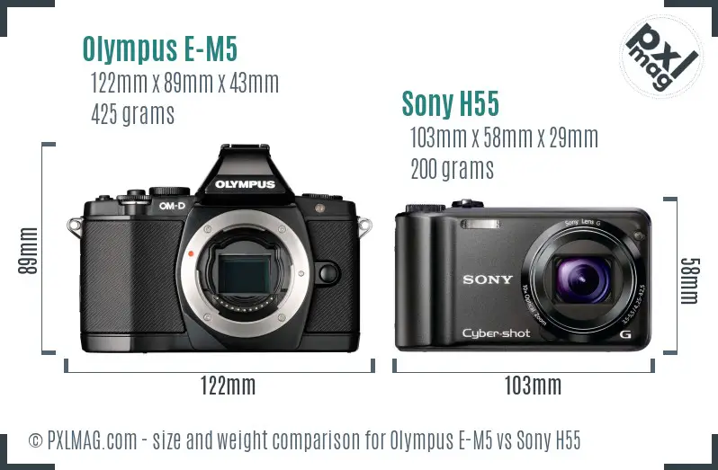 Olympus E-M5 vs Sony H55 size comparison