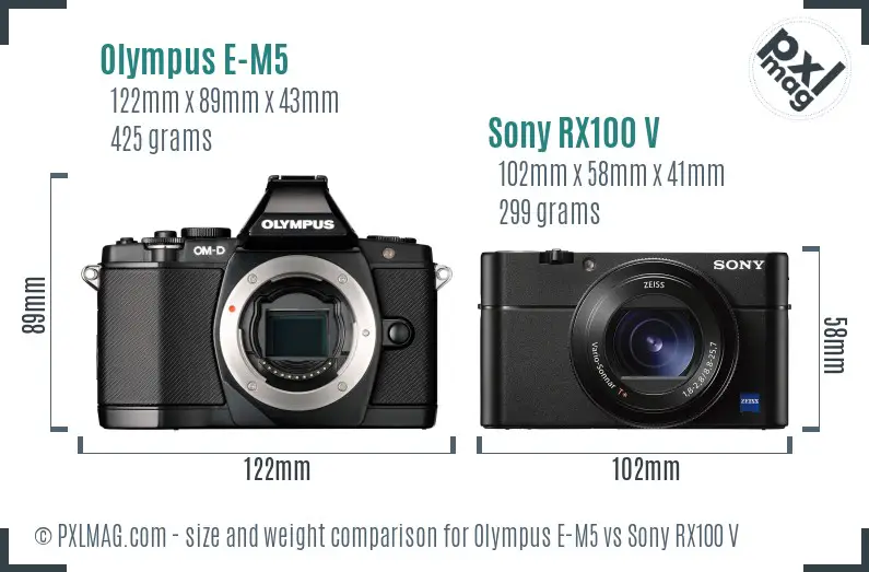 Olympus E-M5 vs Sony RX100 V size comparison