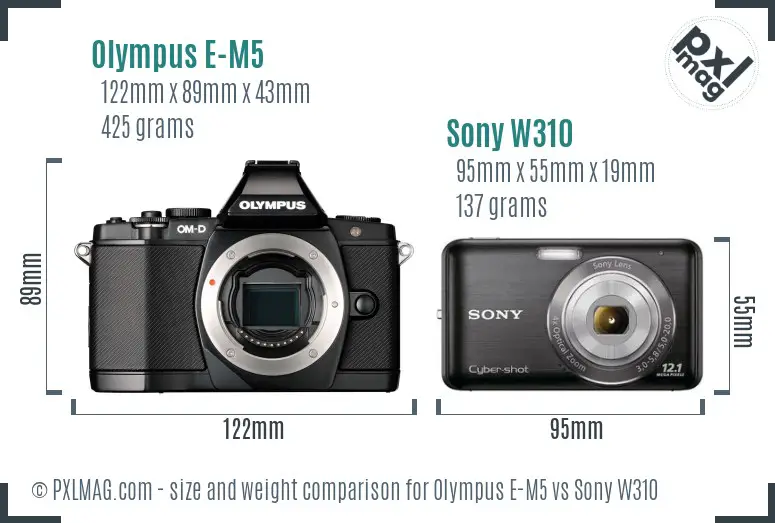 Olympus E-M5 vs Sony W310 size comparison