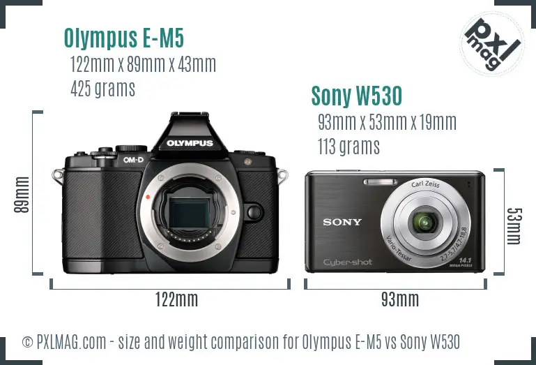 Size comparison of Olympus E-M5 and Sony W530