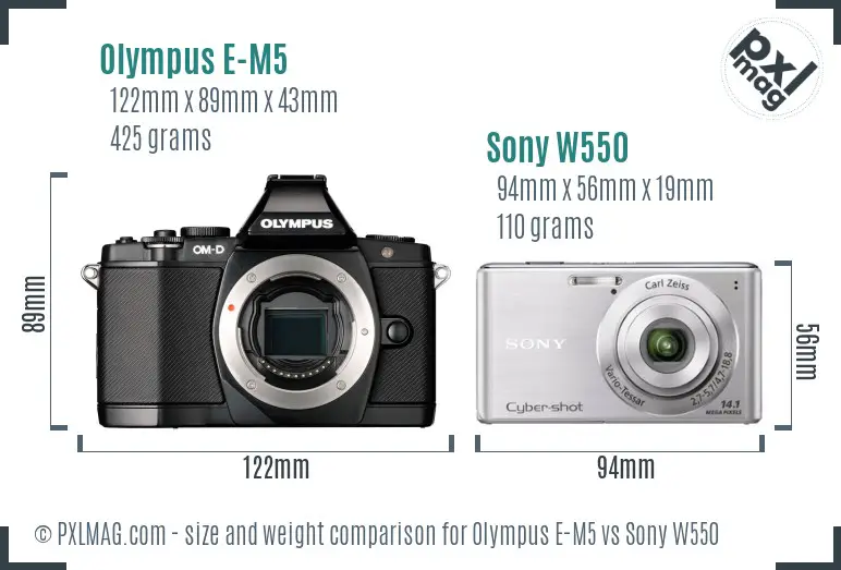 Olympus E-M5 vs Sony W550 size comparison Olympus E-M5 vs Sony W550 size comparison