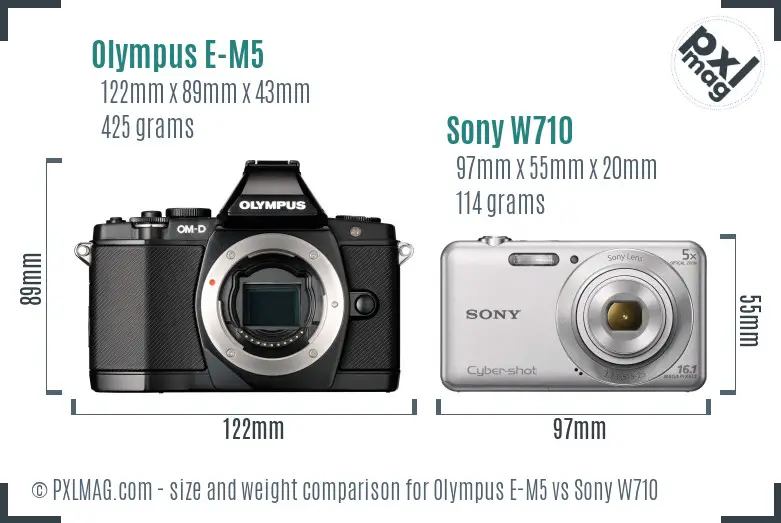 Olympus E-M5 vs Sony W710 size comparison