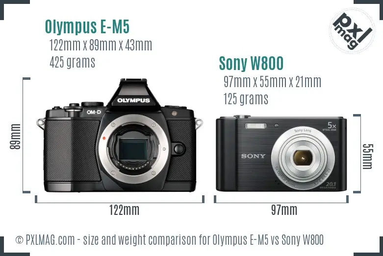 Olympus E-M5 vs Sony W800 size comparison