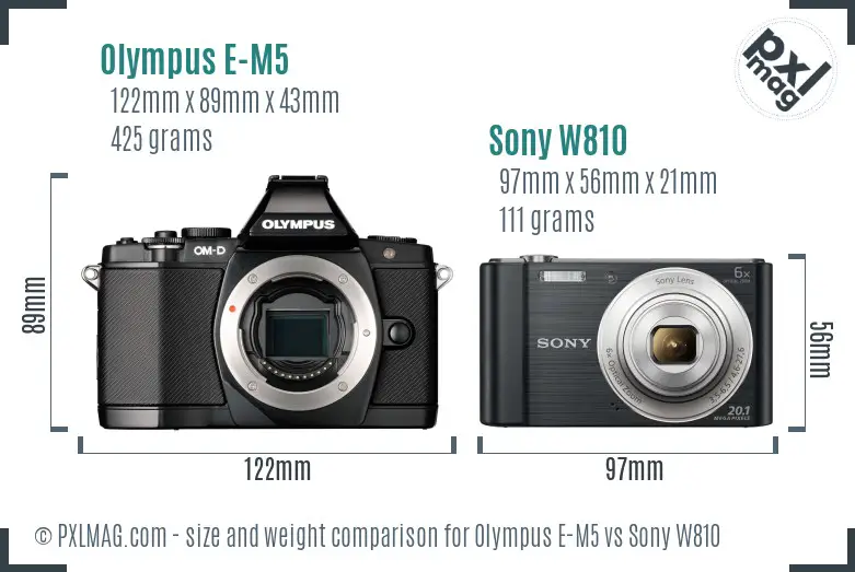 Olympus E-M5 vs Sony W810 size comparison