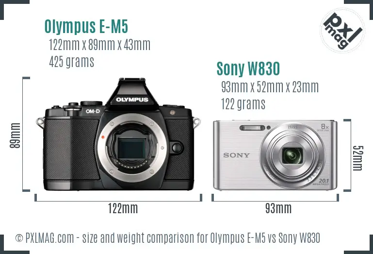 Olympus E-M5 vs Sony W830 size comparison