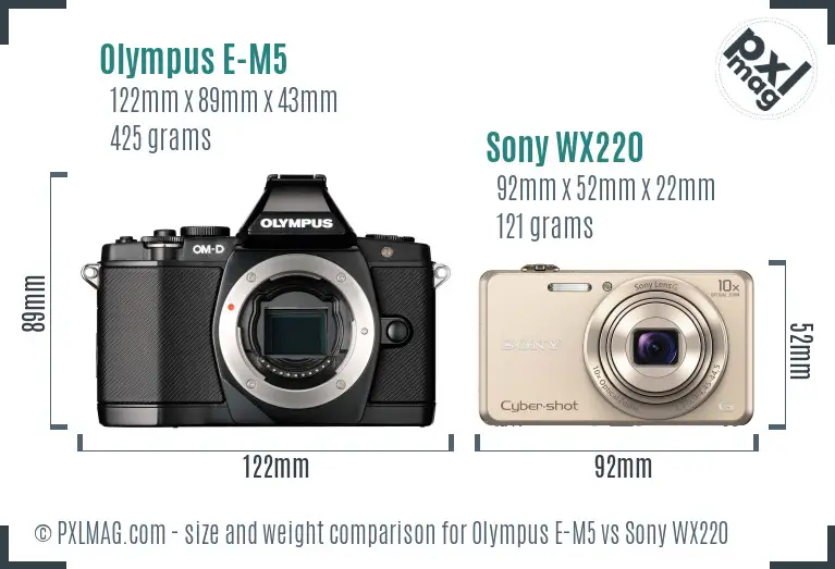 Olympus E-M5 vs Sony WX220 size comparison
