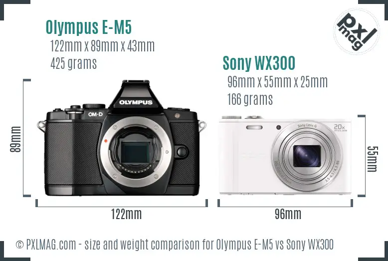 Olympus E-M5 vs Sony WX300 size comparison