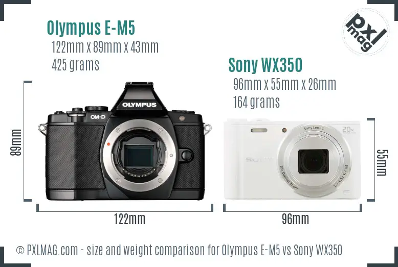 Olympus E-M5 vs Sony WX350 size comparison