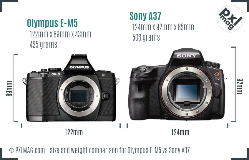 Olympus E-M5 vs Sony A37 size comparison