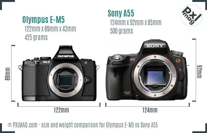 Olympus E-M5 vs Sony A55 size comparison