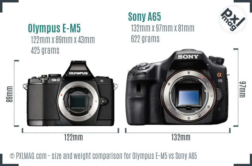 Olympus E-M5 vs Sony A65 size comparison