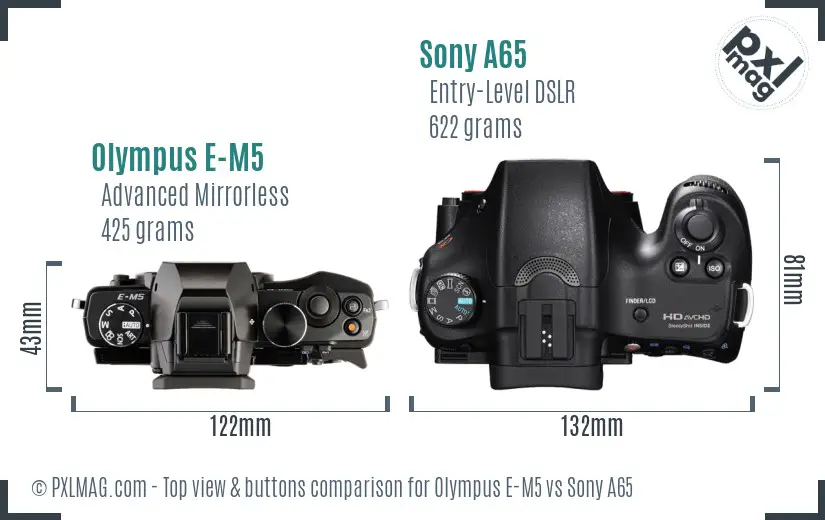 Olympus E-M5 vs Sony A65 top view buttons comparison