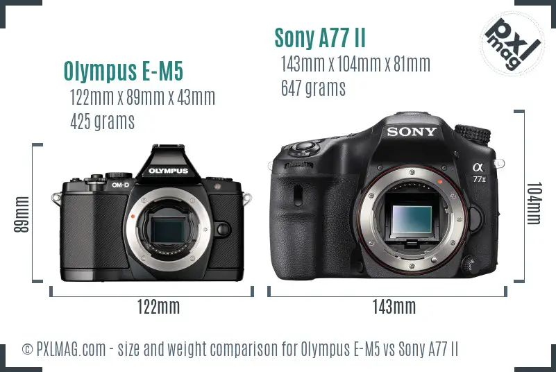 Olympus E-M5 vs Sony A77 II size comparison