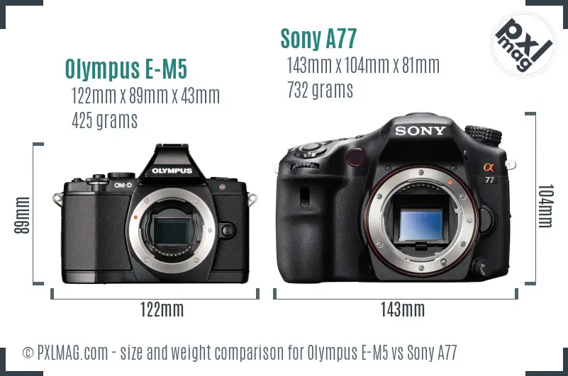 Olympus E-M5 vs Sony A77 size comparison