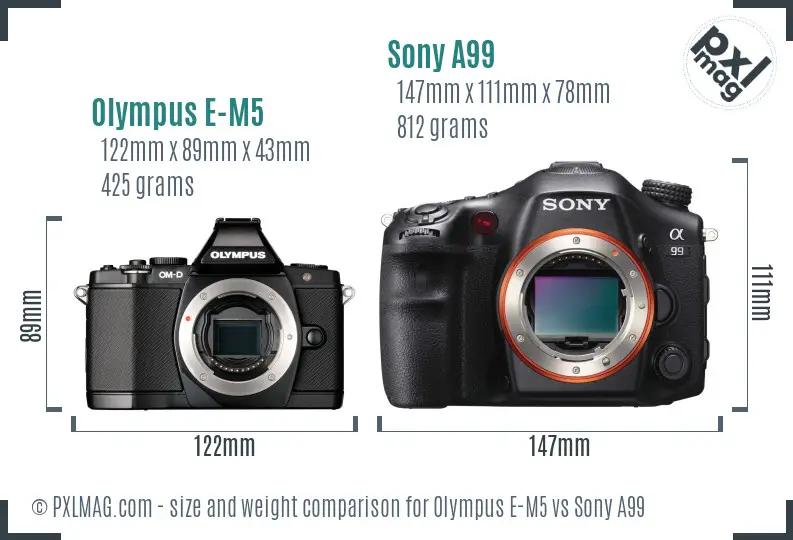 Olympus E-M5 vs Sony A99 size comparison