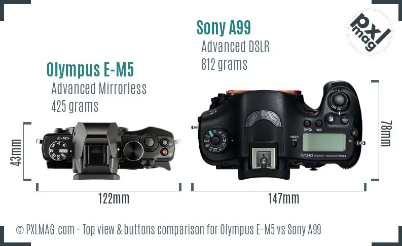 Olympus E-M5 vs Sony A99 top view buttons comparison