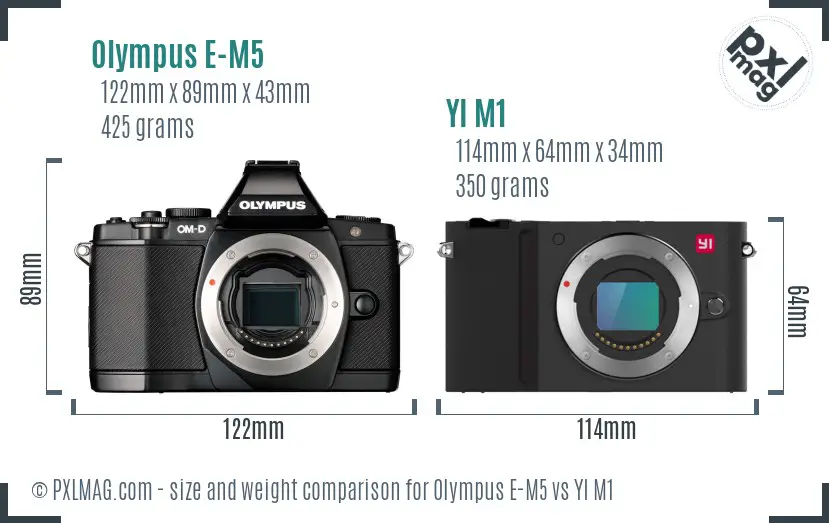 Olympus E-M5 vs YI M1 size comparison