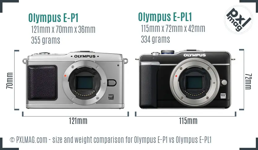 Olympus E-P1 vs Olympus E-PL1 size comparison
