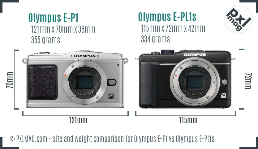 Olympus E-P1 vs Olympus E-PL1s size comparison
