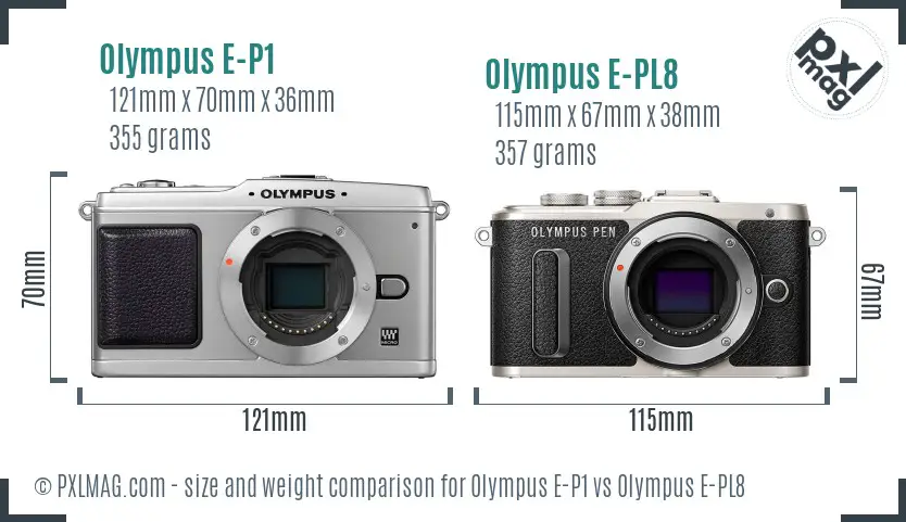 Olympus E-P1 vs Olympus E-PL8 size comparison