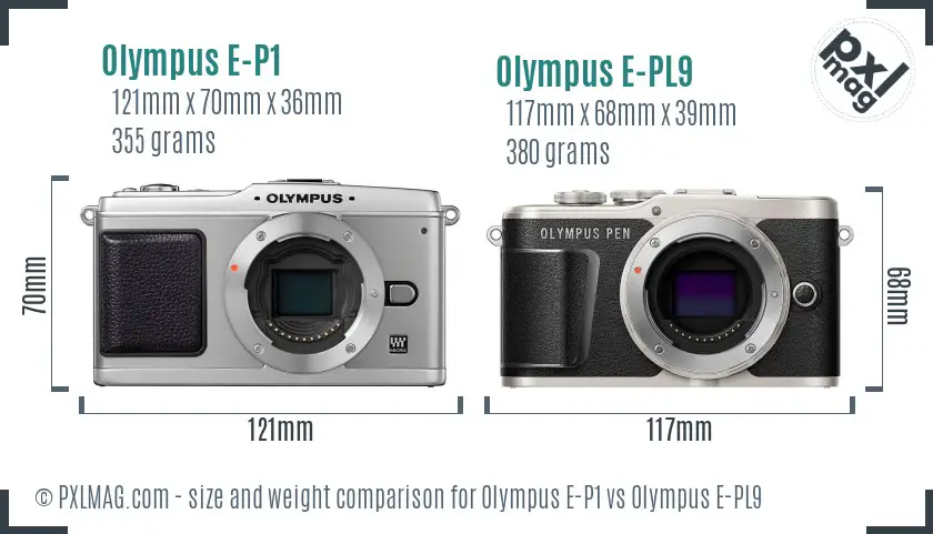 Olympus E-P1 vs Olympus E-PL9 size comparison