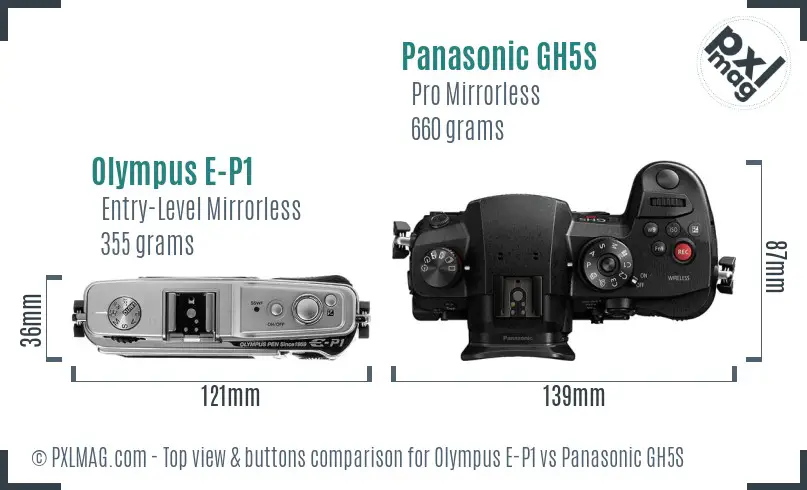 Olympus E-P1 vs Panasonic GH5S top view buttons comparison