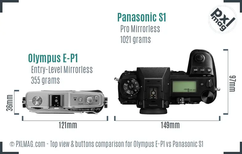 Olympus E-P1 vs Panasonic S1 top view buttons comparison