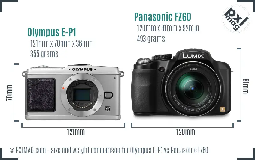 Olympus E-P1 vs Panasonic FZ60 size comparison