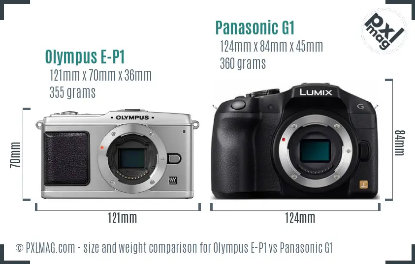 Olympus E-P1 vs Panasonic G1 size comparison