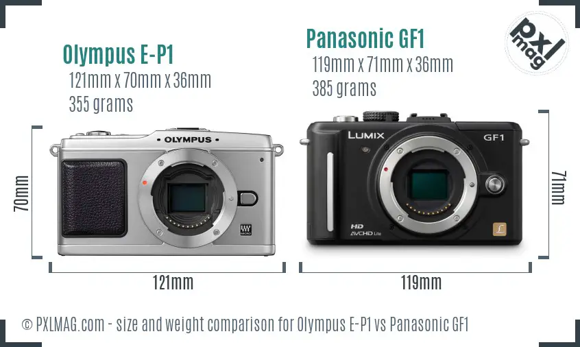 Olympus E-P1 vs Panasonic GF1 size comparison