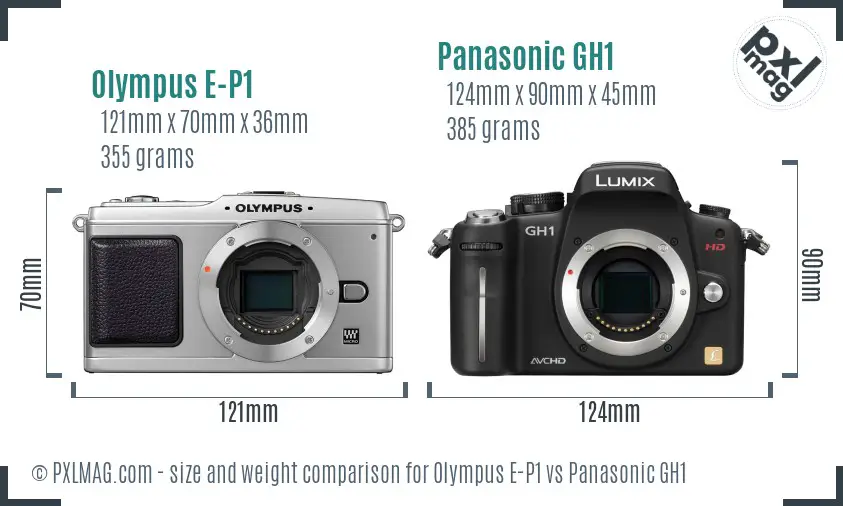 Olympus E-P1 vs Panasonic GH1 size comparison