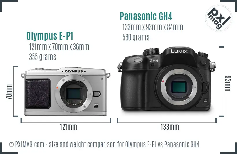 Olympus E-P1 vs Panasonic GH4 size comparison