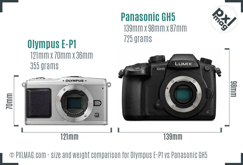 Olympus E-P1 vs Panasonic GH5 size comparison