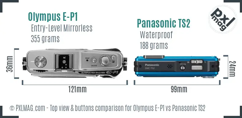 Olympus E-P1 vs Panasonic TS2 top view buttons comparison