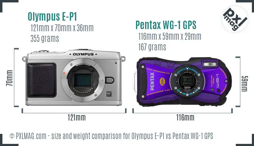 Olympus E-P1 vs Pentax WG-1 GPS size comparison