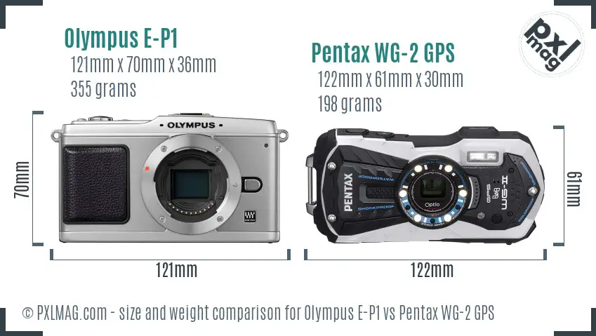 Olympus E-P1 vs Pentax WG-2 GPS size comparison