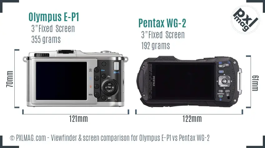 Olympus E-P1 vs Pentax WG-2 Screen and Viewfinder comparison